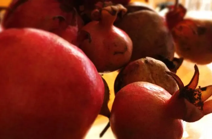 Couette-café Rooms Barbarossa