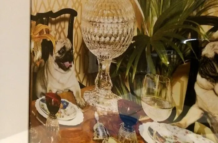 Bed & Breakfast Rooms Barbarossa Prato (Prato)